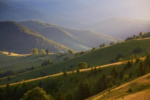 Jak wybrać idealne materace 160x200 dla lepszego snu?