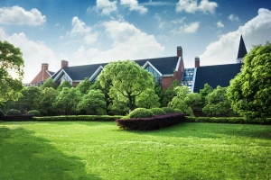 Top 10 ikonicznych mebli, które zdefiniowały styl architektoniczny XX wieku